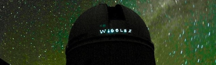 WiggleZ logo